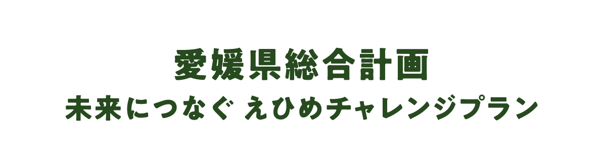 愛媛県総合計画 未来につなぐ えひめチャレンジプラン