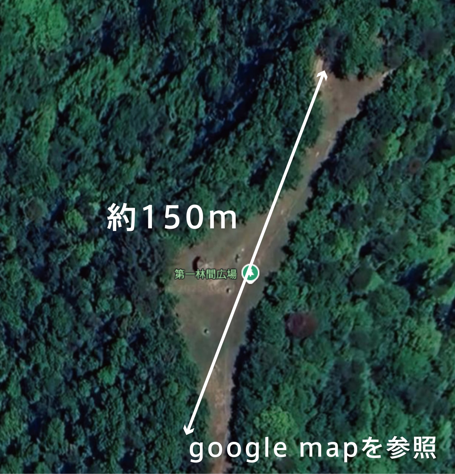 A _ 第一林間広場