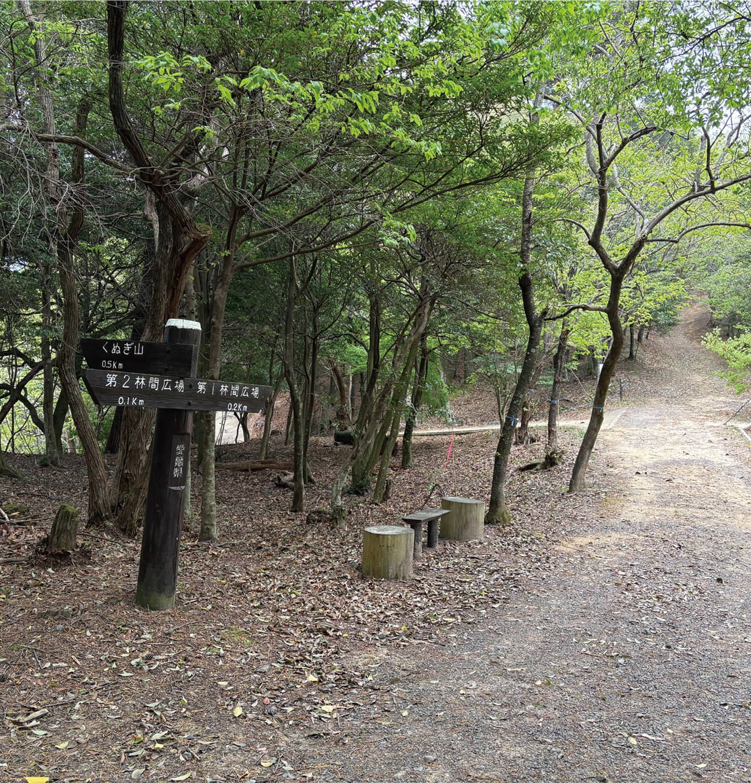 C _ 遊歩道